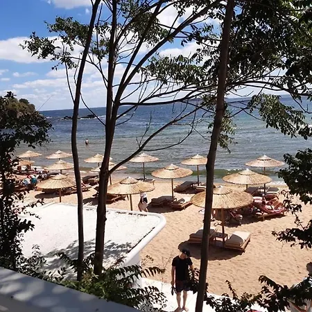 In Sunny Island Complex