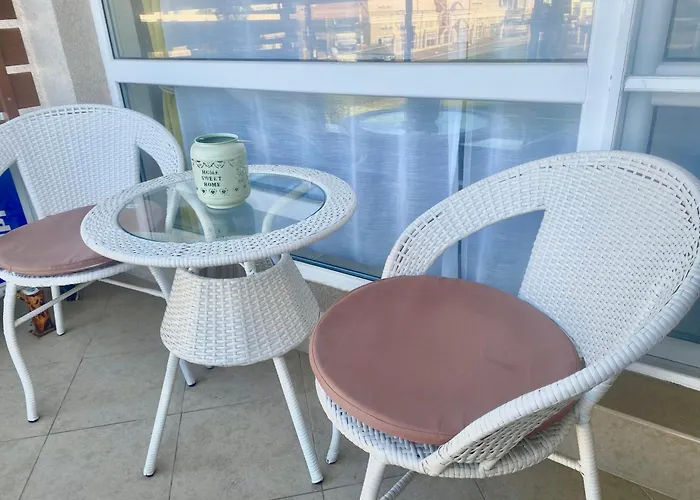 公寓式酒店 In Sunny Island Complex 切尔诺莫雷茨